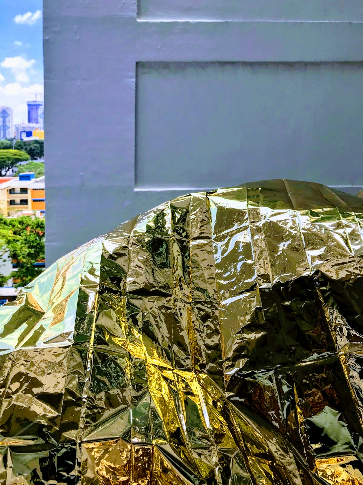 Priyageetha Dia's golden flags