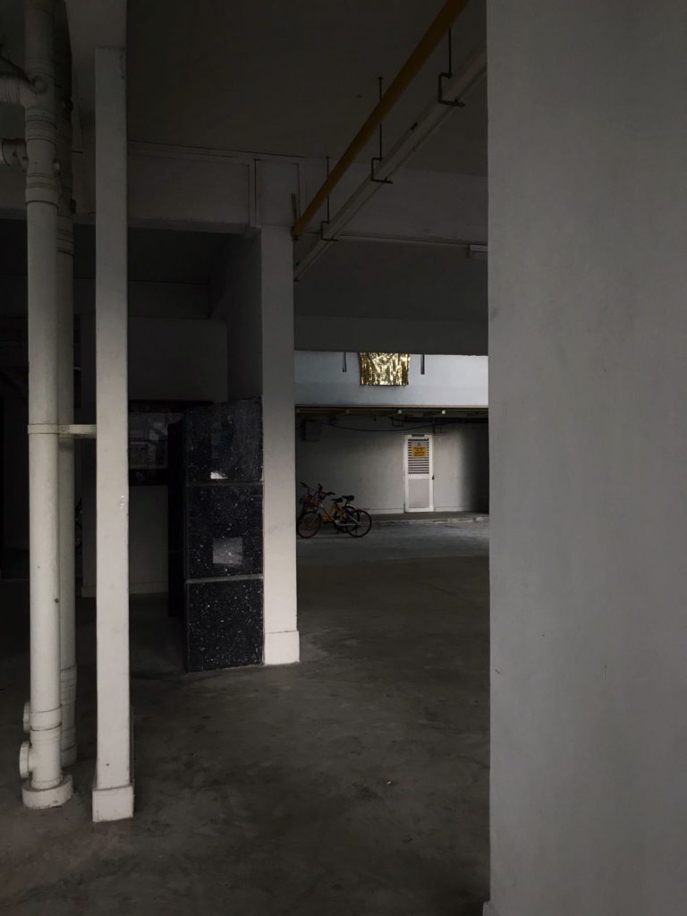 HDB scene with one of Priyageetha Dia's golden flags